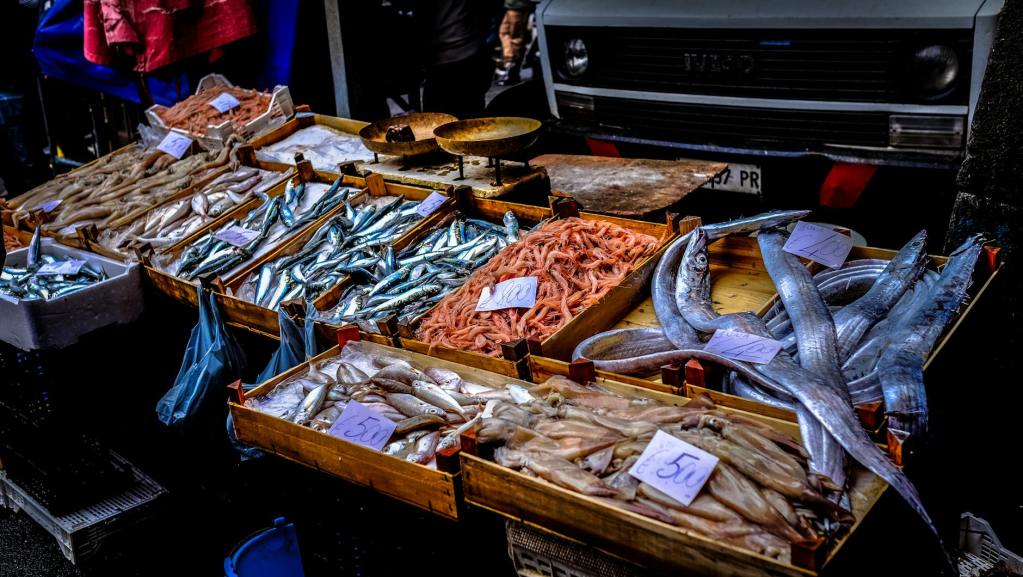 pexels-photo-96379-1024x577 Mevsimine Göre Balık Tüketmek Neden Önemlidir? |Şubat Ayında Hangi Balıklar Tüketilir?