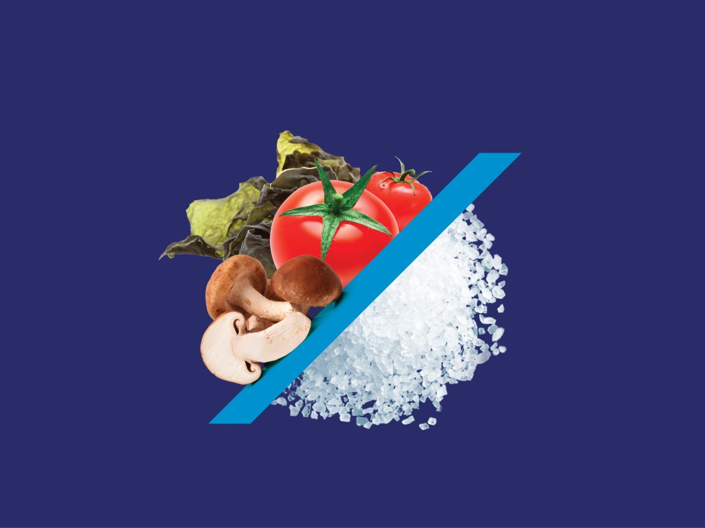 Umamix-Bold-for-sodium-reduction-aplications-1024x768 Beşinci Temel Tat : Umami Nedir?