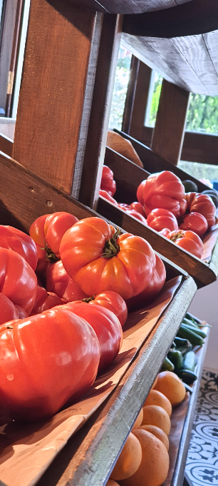 dmt Çiftlikten Sofraya Doğal Gıda : İpek Hanım Çiftliği