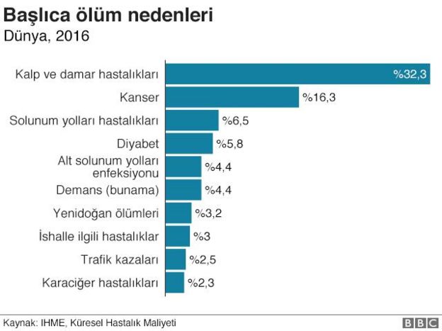 105918160_33 Gıda ve Temel Gıda Bilgisinde Nelere Dikkat Etmeliyiz?