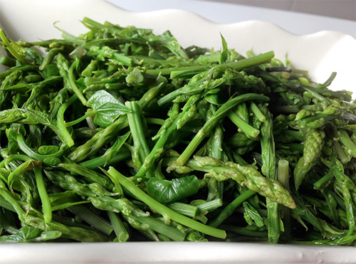 post.49202.313557 Yeşilin Binbir Tonu: Ege Otları