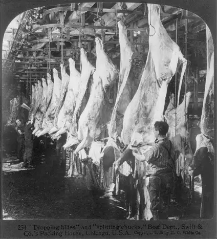 swift-dropping-hides-splitting-chucks-beef-dept-1906 Gastronomi de Devrim: Endüstri 1.0'dan 4.0'a